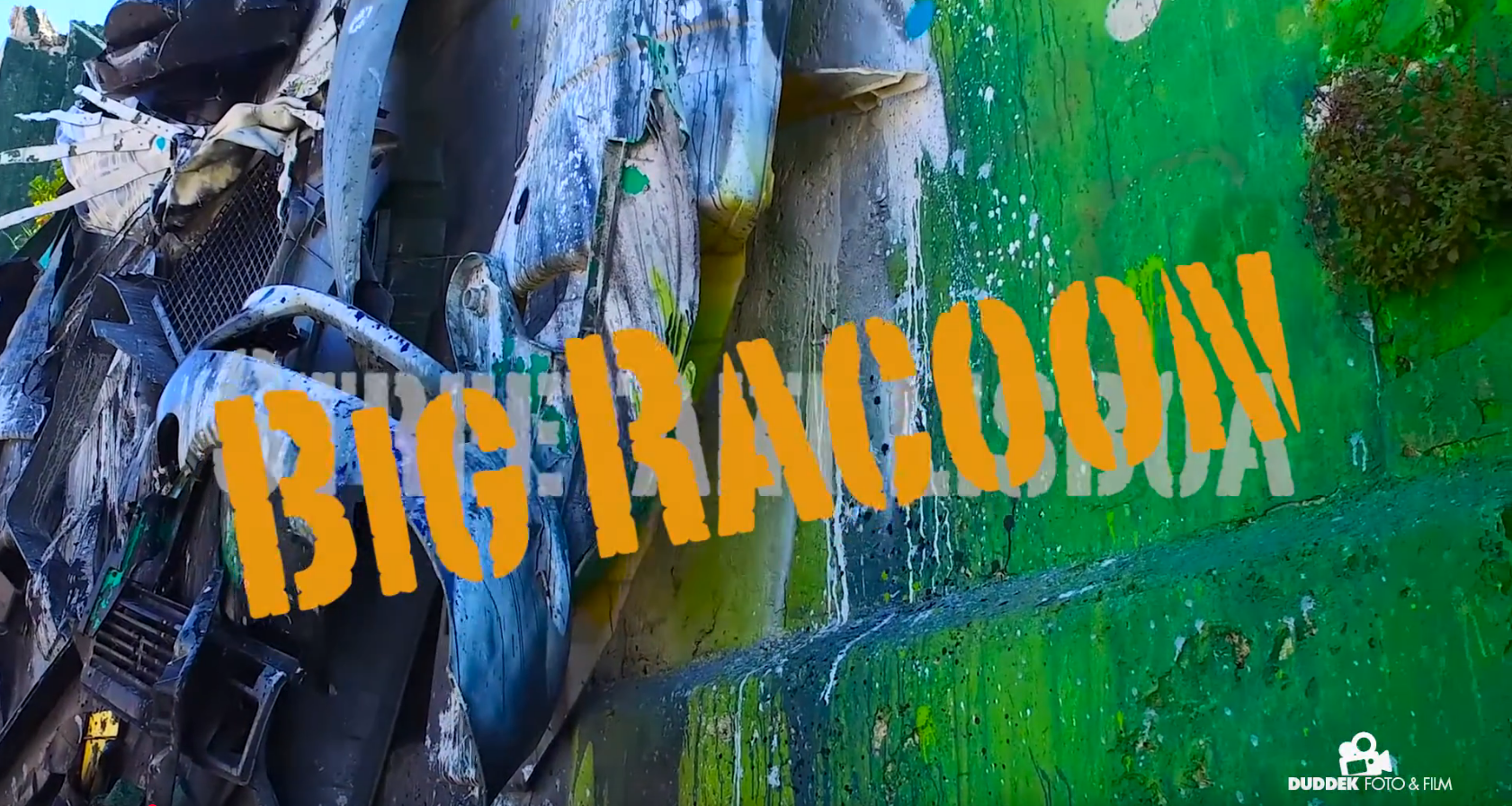 Big Raccoon – Der Waschbär
